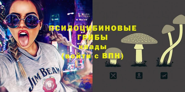 ALPHA PVP Нязепетровск