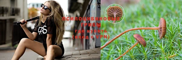 альфа пвп Нягань