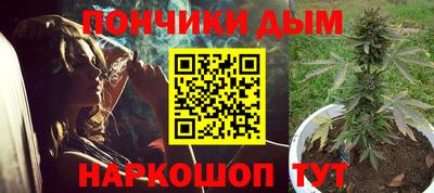 прущие грибы Кандалакша