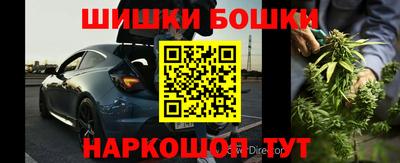 прущие грибы Кандалакша