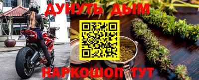 прущие грибы Кандалакша