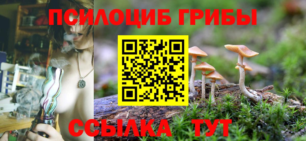 Галлюциногенные грибы GOLDEN TEACHER Курганинск