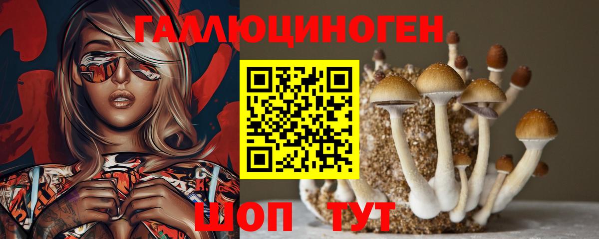 Галлюциногенные грибы MAGIC MUSHROOMS  Псилоцибиновые грибы прущие грибы  Курганинск  Вход с VPN 